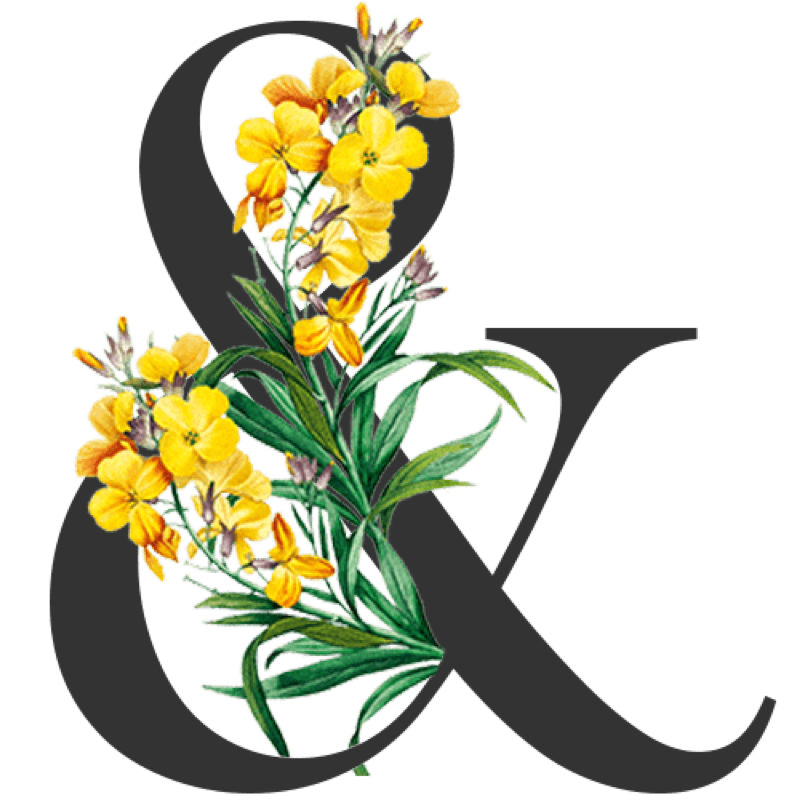 Ornament